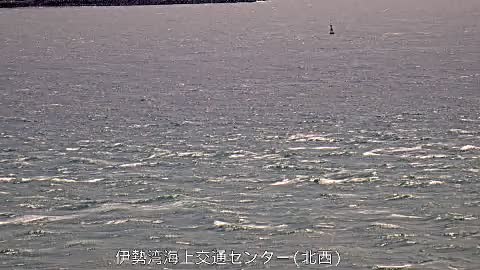 愛知県の海ライブカメラ｢１先端(北西)｣のライブ画像