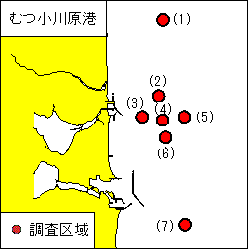 環境調査(むつ小川原港)