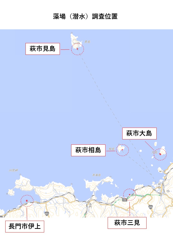 環境調査実施位置