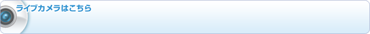 ライブカメラはこちら